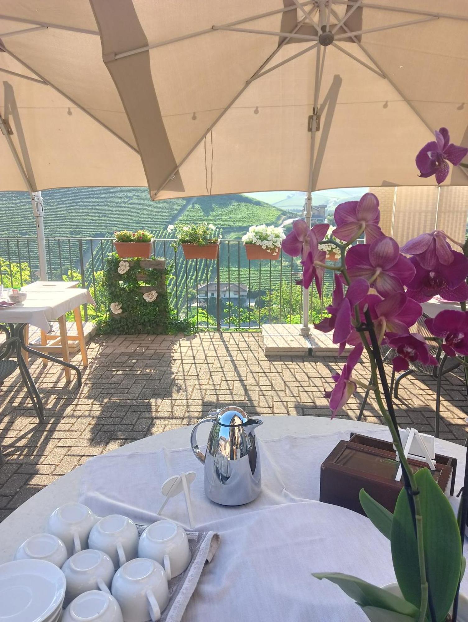 Il Borgo B&B Castellinaldo Exteriör bild